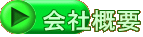 ЊTv 